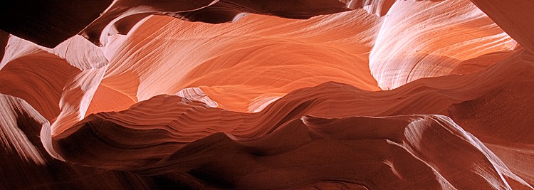 Antelope_47_49_HDR_8_12_banner Antelope_47_49_HDR_8_12_banner